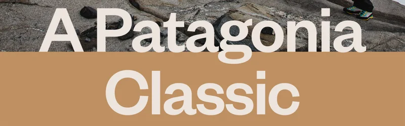 A Patagonia Classic