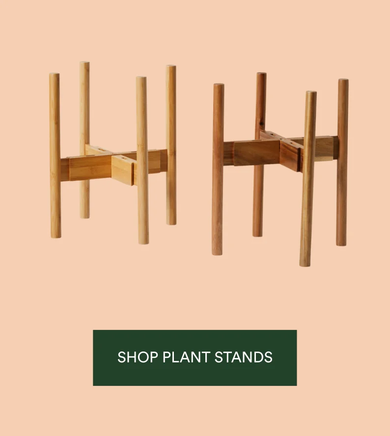 SHOP PLANT STANDS