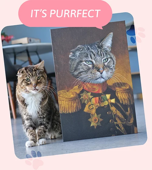 The Veteran pet portrait
