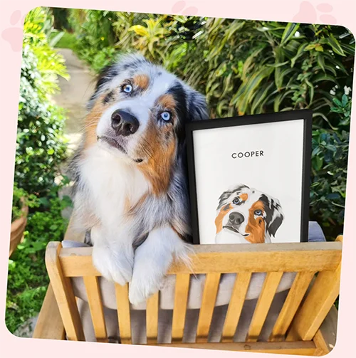 Modern pet portrait - One pet