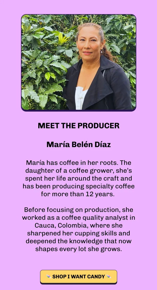 Meet the Producer: María Belén Díaz. Photo of María standing outdoors among coffee plants. María has coffee in her roots. The daughter of a coffee grower, she's spent her life around the craft and has been producing specialty coffee for more than 12 years. Before focusing on production, she worked as a coffee quality analyst in Cauca, Colombia, where she sharpened her cupping skills and deepened the knowledge that now shapes every lot she grows. Button: Shop I Want Candy.