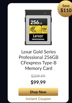 Lexar Gold Series Professional 256GB CFexpress Type-B Memory Card