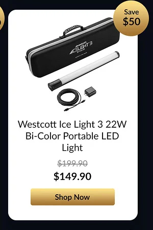 Westcott Ice Light 3 22W Bi-Color Portable LED Light