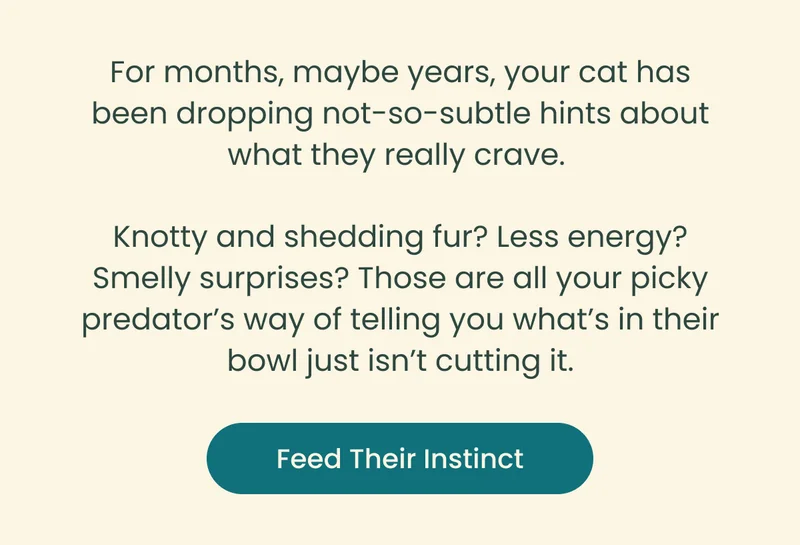 For months, maybe years, your cat has been dropping not-so-subtle hints about what they really crave. Knotty and shedding fur? Less energy? Smelly surprises? Those are all your picky predator's way of telling you what's in their bowl just isn't cutting it. Feed Their Instinct