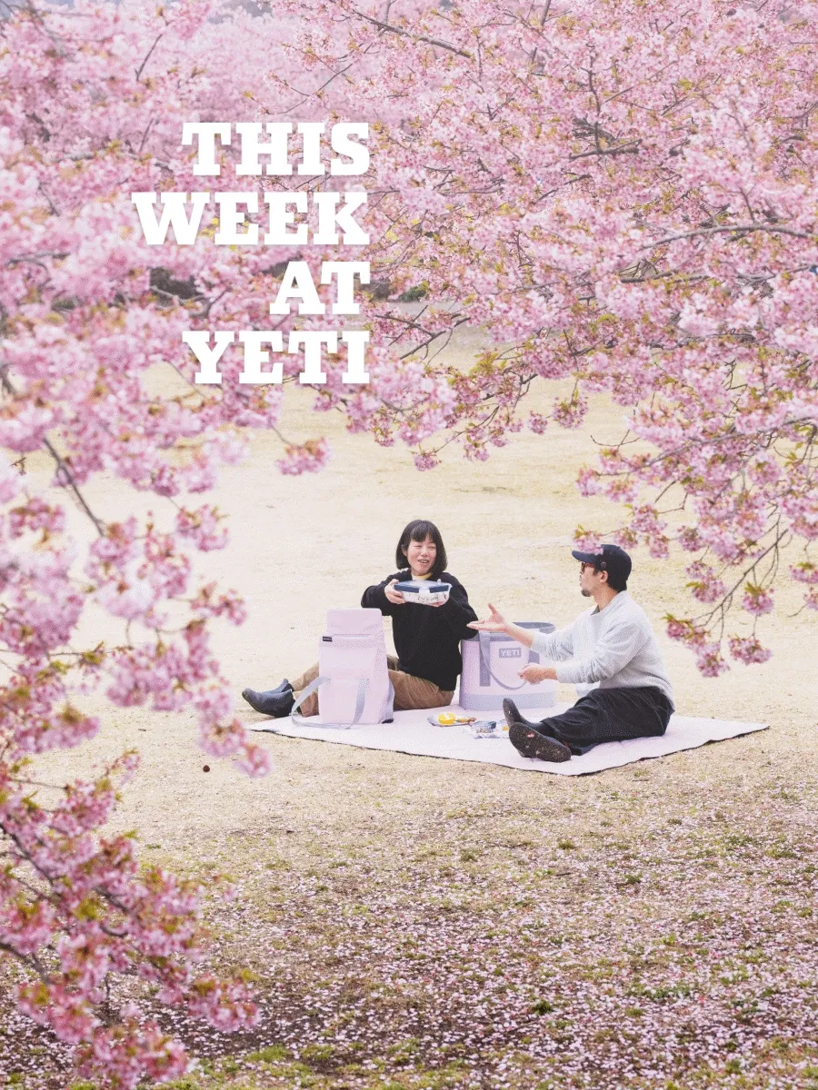 This Week At YETI