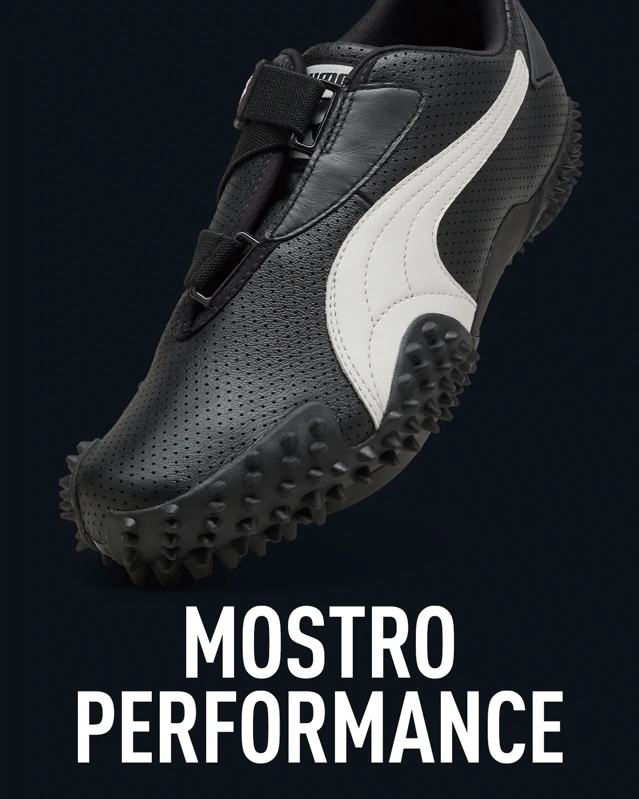 MOSTRO PERFORMANCE