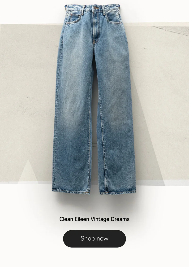 Clean Eileen Vintage Dreams