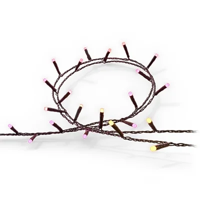 Festavia string lights