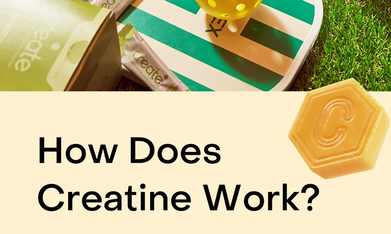 How does Creatine Work?