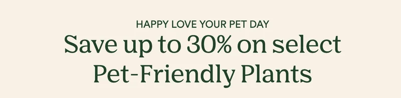 Save up to 30% on pet-friendly plants