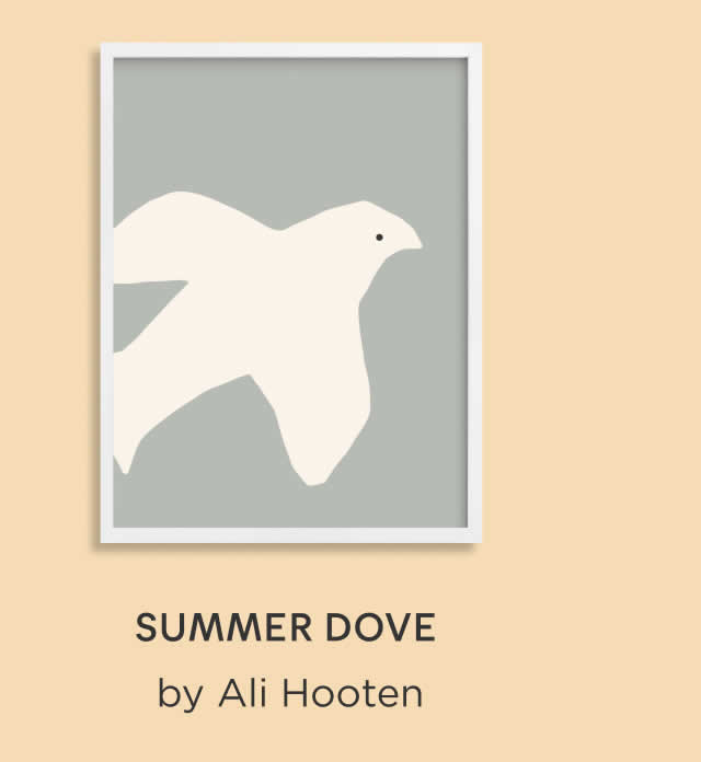 Summer Dove