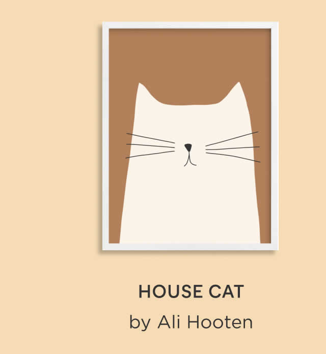 House Cat
