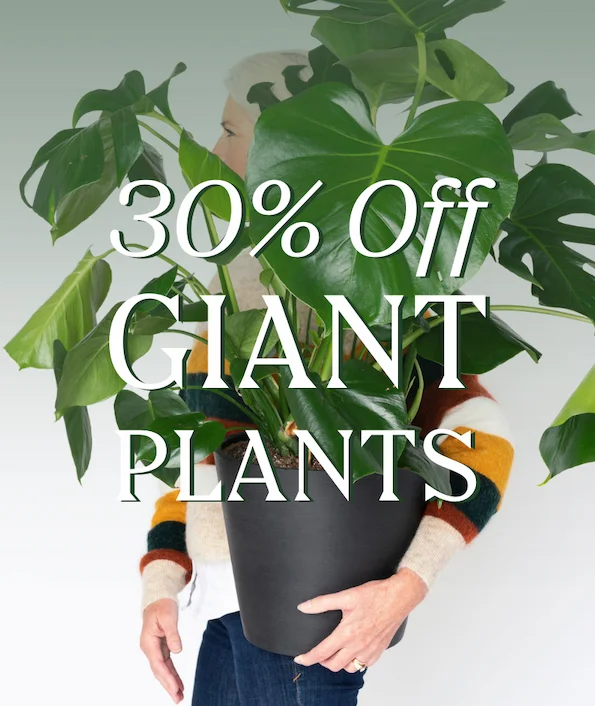 plant grouping