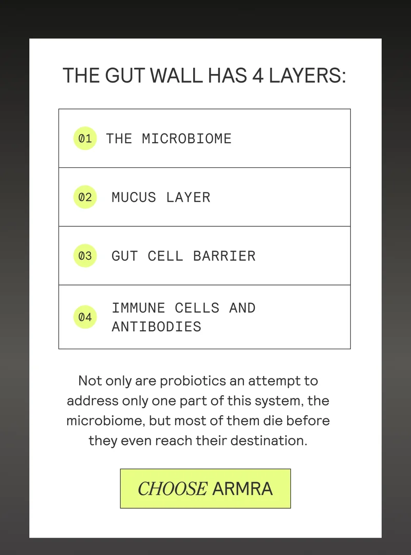 THE GUT WALL HAS 4 LAYERS