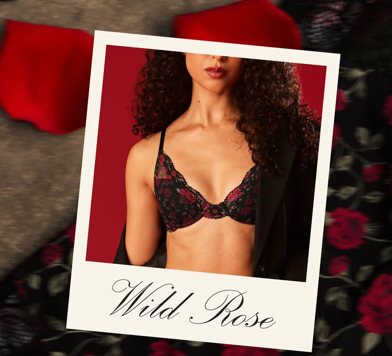 Wild Rose