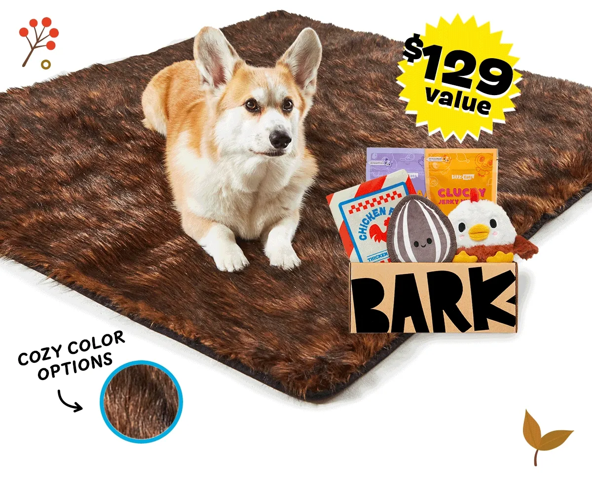 Dog Bed