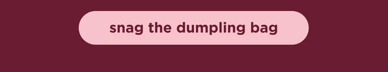 snag the dumpling bag