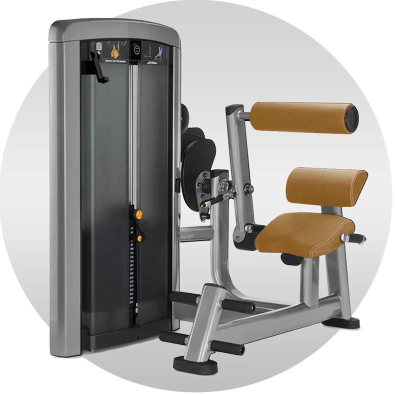 20% Off | Life Fitness Insignia Series Back Extension