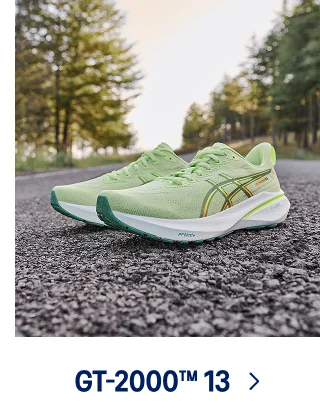 GT 2000 13 >