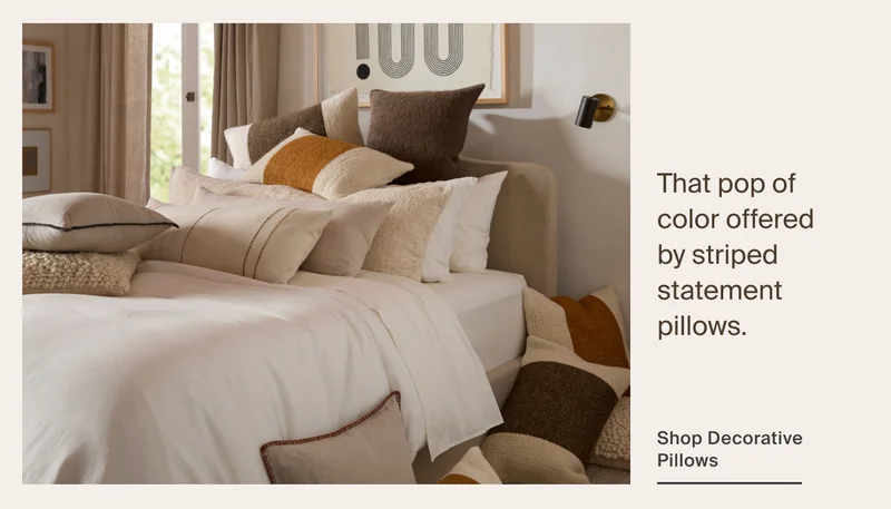 Shop Decorative Pillows