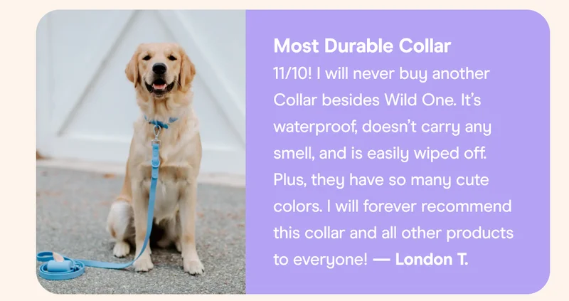 Collar Walk Kit