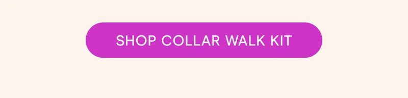Shop Collar Walk Kit