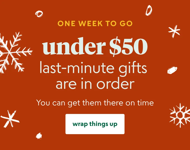 christmas-gifts-under-50