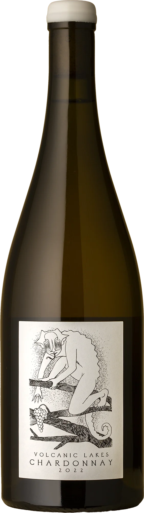 Image of Good Intentions Wine Co. - Volcanic Lakes Chardonnay 2022