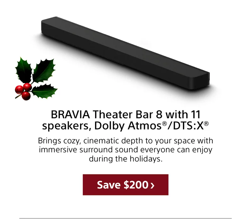 BRAVIA Theater Bar 8 | Save