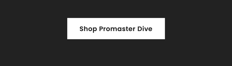 Shop Promaster Dive
