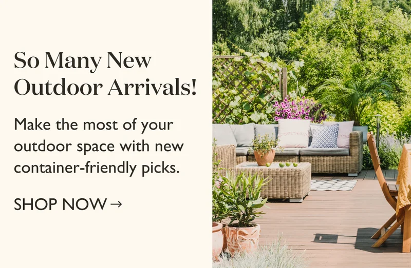 Shop New Outdoor Arrivals