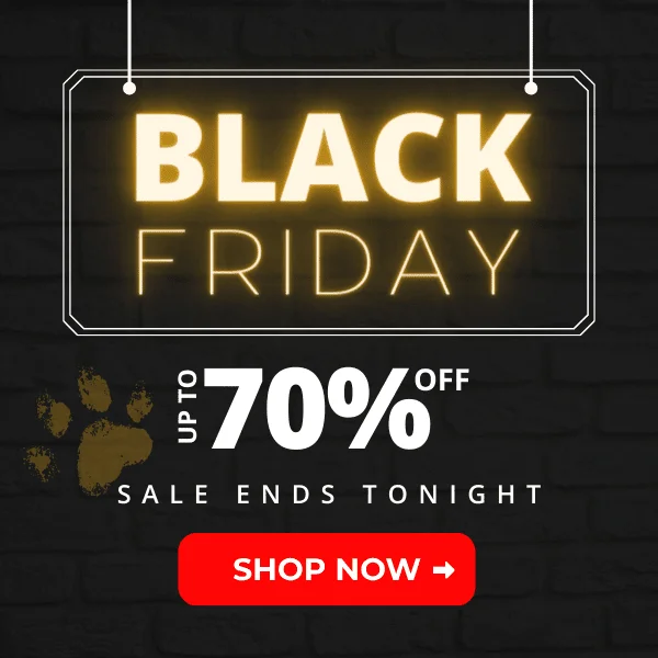 Black Friday Sale