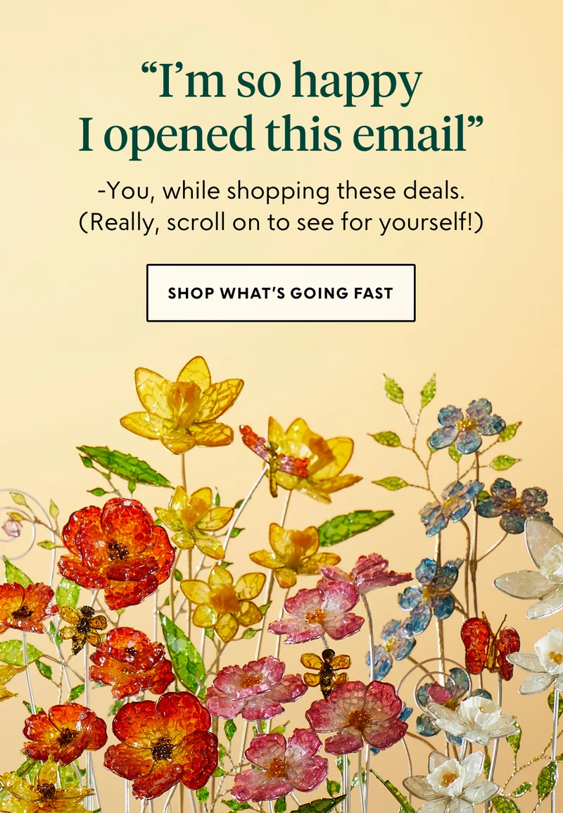 shop now