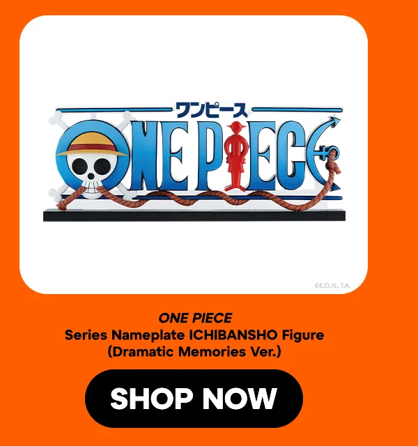 SHOP NOW SHOP NOW