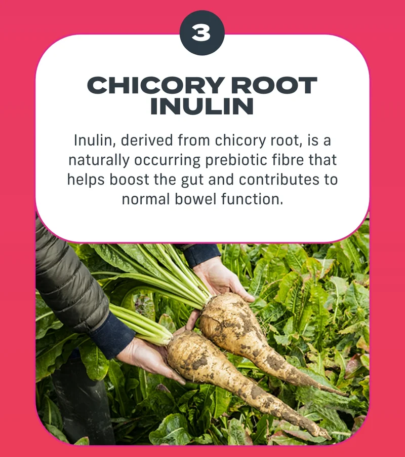Chicory root inulin