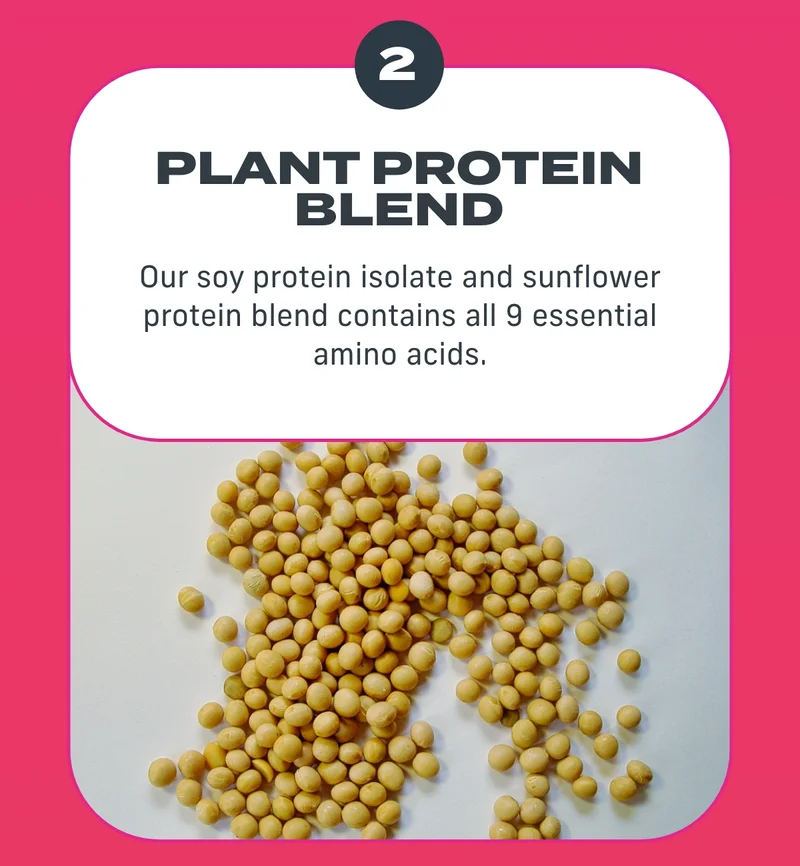 Plant protein blend