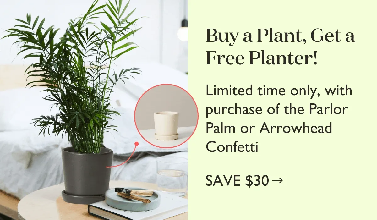 Buy a Plant, Get a Free Planter! Limited time only.