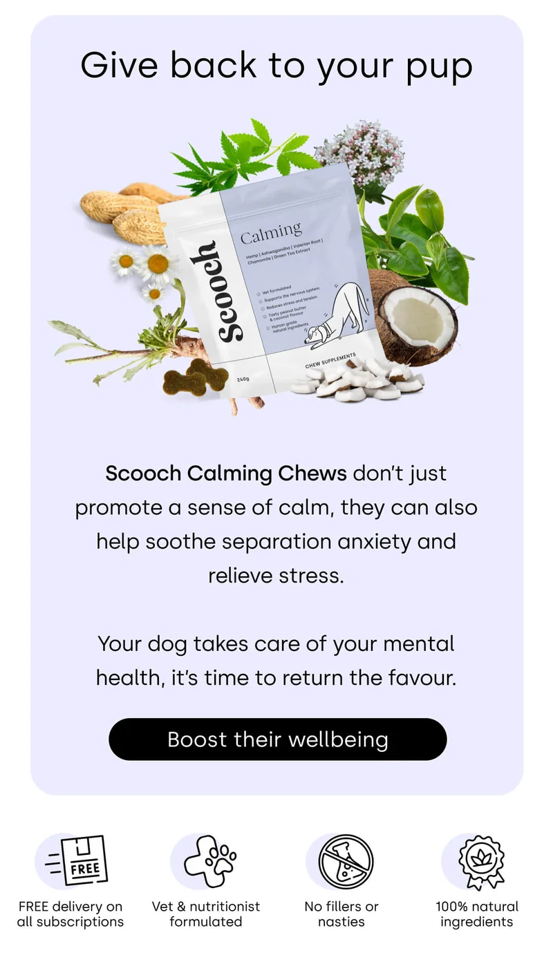 Give back to your pup - Boost their wellbeing