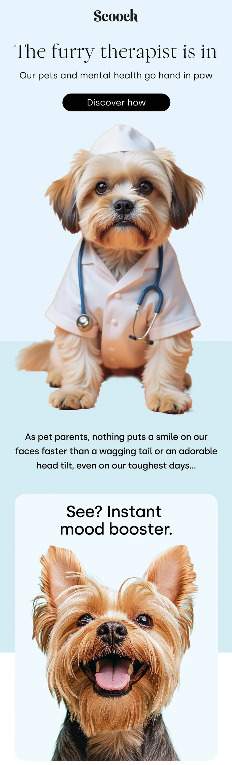 Our pets and mental health go hand in paw - Discover How
