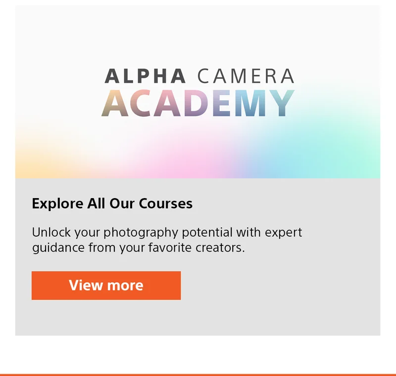 Alpha Camera Academy | Explore All Our Courses | View more