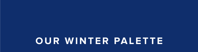 Our Winter Palette