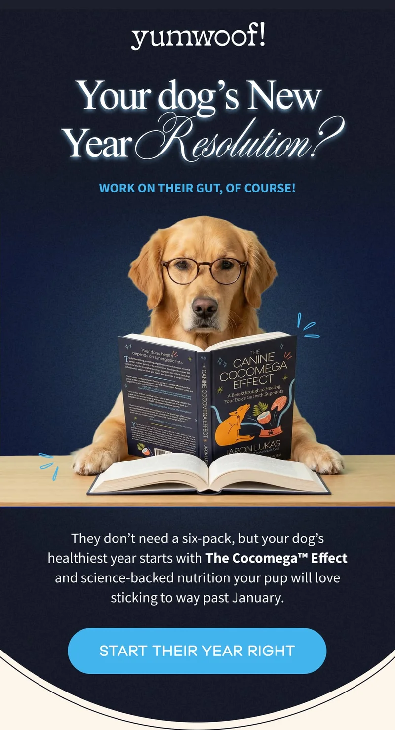 yumwoof! | Your dog’s New Year Resolution? | Work on their gut, of course! | They don’t need a six-pack, but your dog’s healthiest year starts with The Cocomega™ Effect and science-backed nutrition your pup will love sticking to way past January. | START THEIR YEAR RIGHT