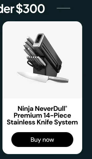 Gifts under $300: Ninja NeverDull® Premium 14-Piece Stainless Knife System
