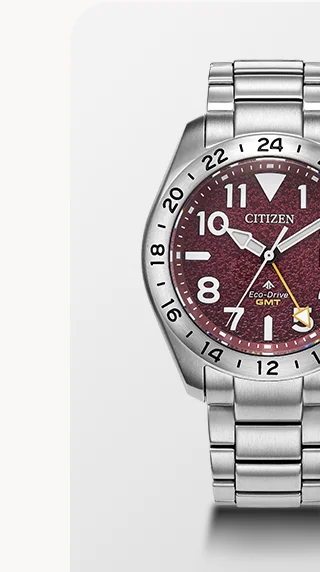 Promaster Land GMT - BJ7150-50W
