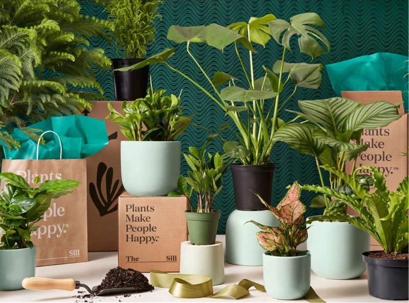 Shop Live Plants
