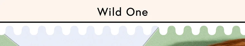 wild one