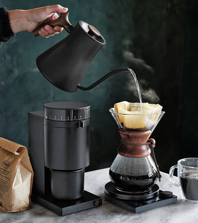 Fellow Stagg EKG electric tea kettle