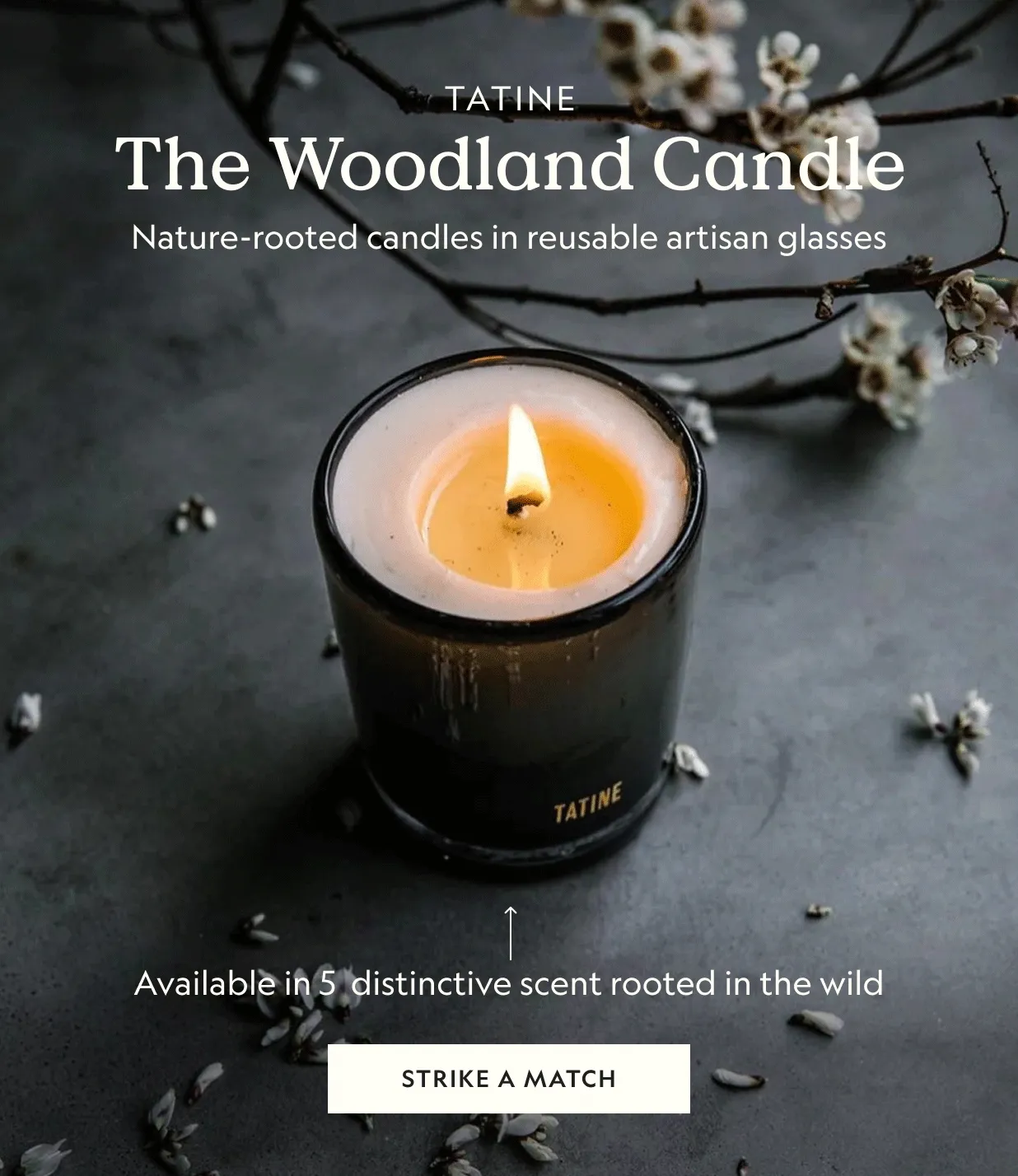 The Woodland Candle