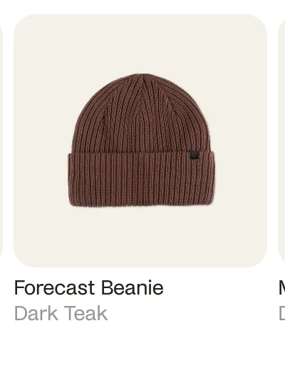 Forescast Beanie Dark Teak