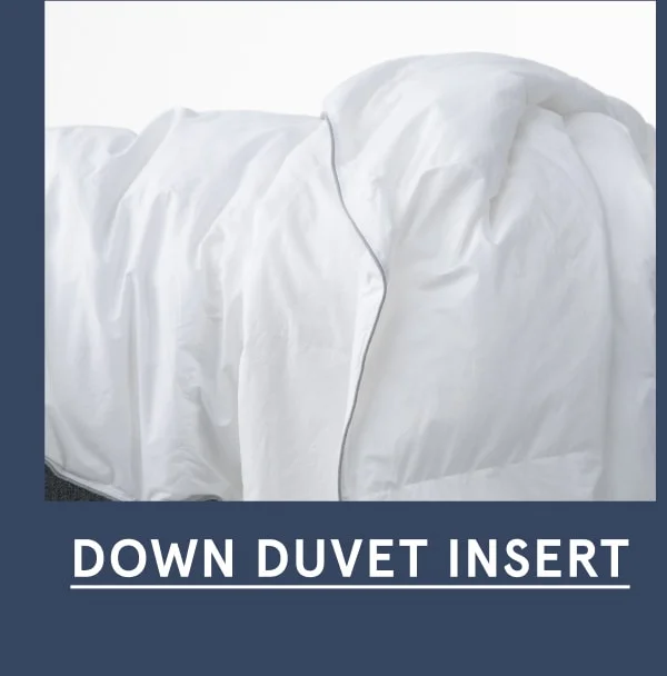Down Duvet Insert